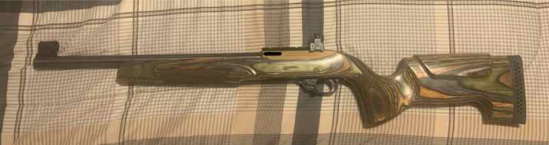 Ruger 10/22 target rifle