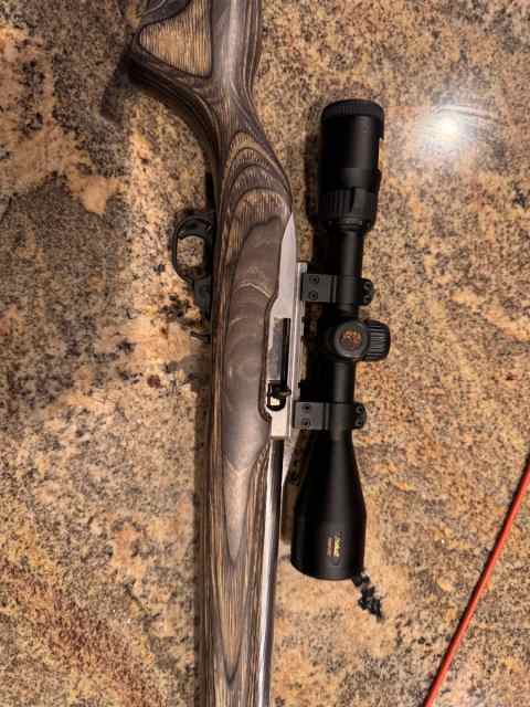 Ruger 10/22 Bull