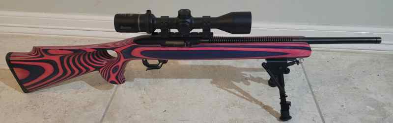 Custom ruger 10/22