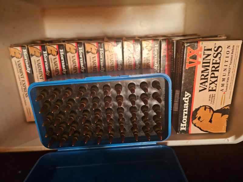 22-250  Varmint Express