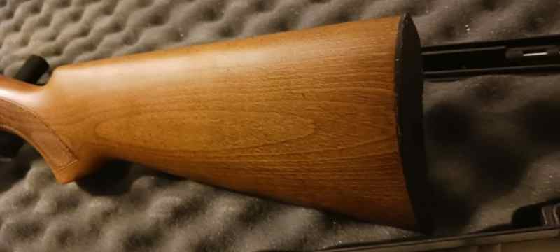 20250630_043836.jpg