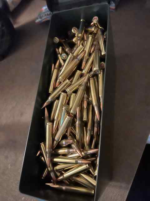 55 grain 5.56 