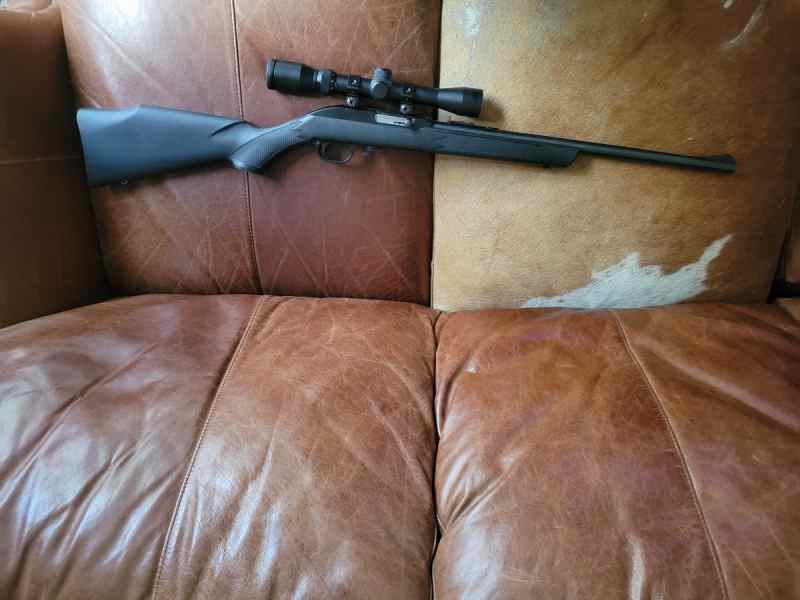 .22 rifle 