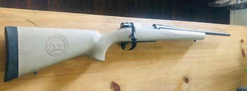 Howa Ranchland Security Model 1500 .204 Ruger