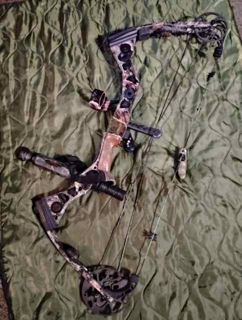 Matthews outback compound bow