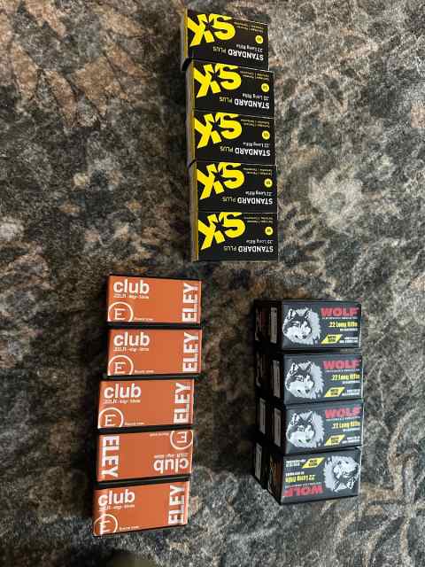 22lr match ammo