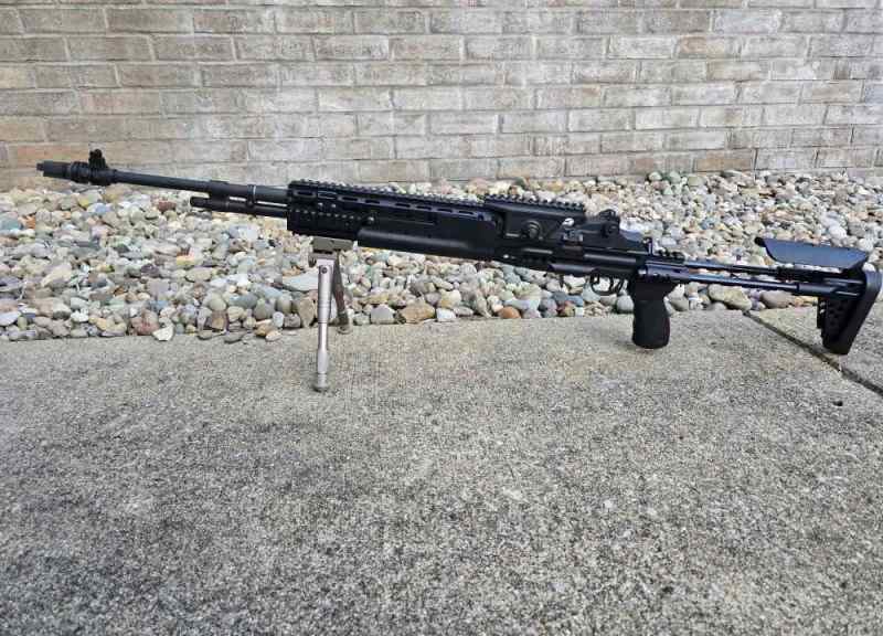 Fulton armory m14 with sage chassis