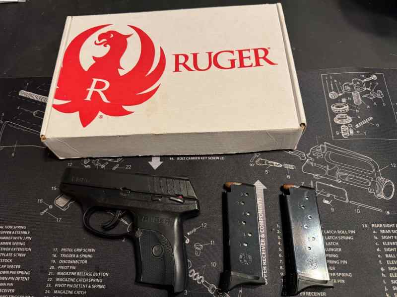 Ruger EC9s 9mm Luger 