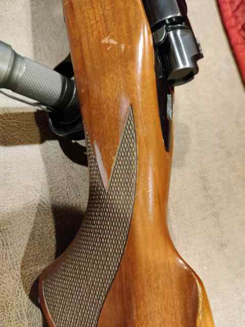 REDUCED! Winchester M70 &quot;Classic Sporter&quot; 25-06