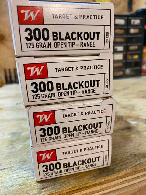 300 Blackout Supersonic 125 grain