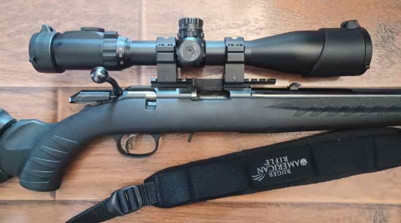 Ruger American Rimfire 22LR