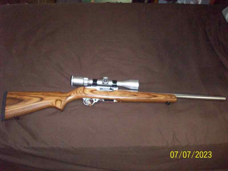 Ruger Stainless Target 10/22