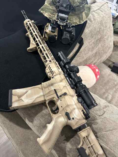 Ar-15 professional paint job