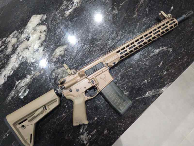 FSOT Stag AR15 
