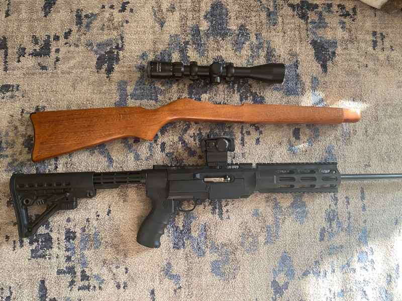 Ruger 10/22 AA556