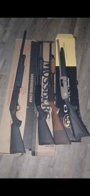 4 shotguns wtt them together or sell lmk