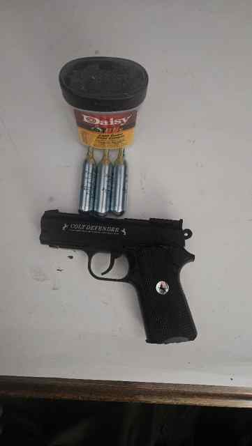 colt01.jpg