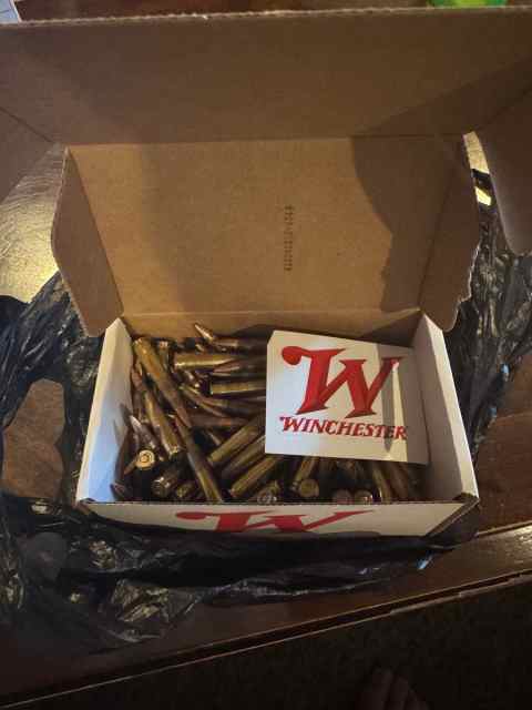 image1.jpeg