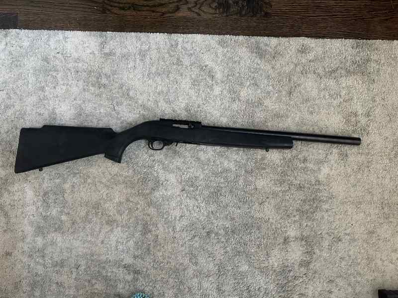 Ruger 10/22 target 