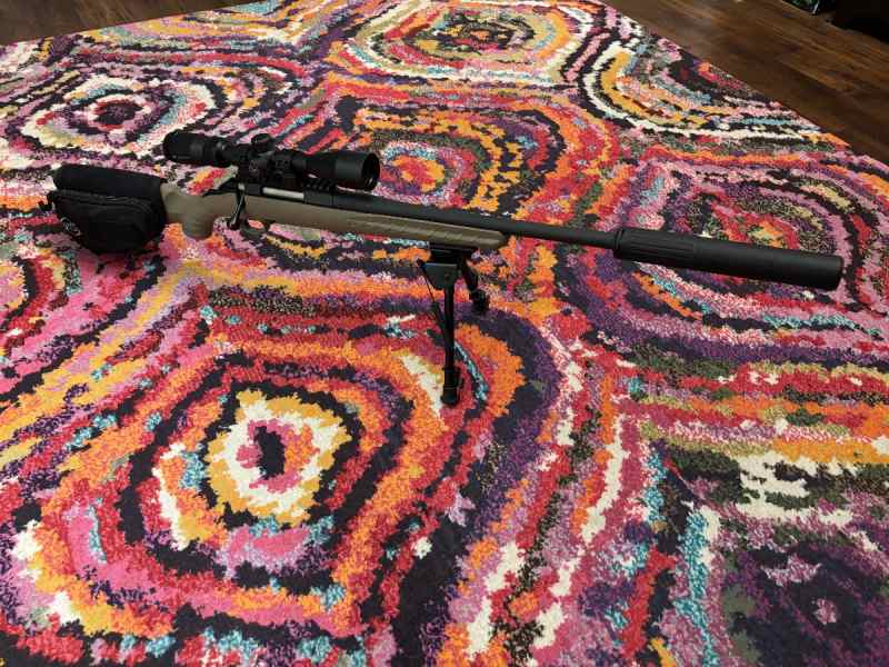 Ruger 300AAC