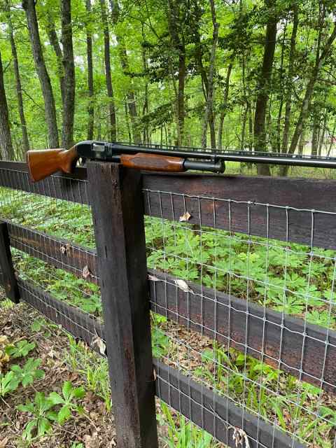 Winchester Model 12 20ga VR
