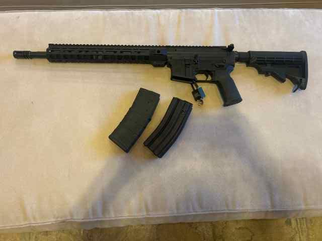 Palmetto State Armory PA-15