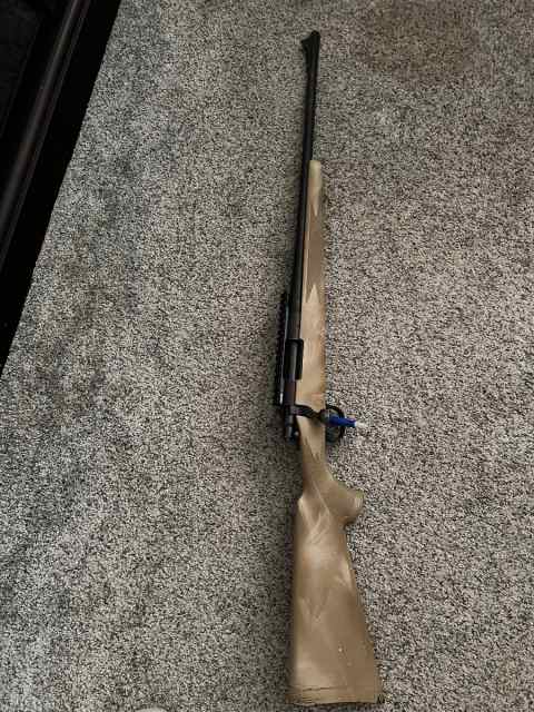 Remington 700 .243