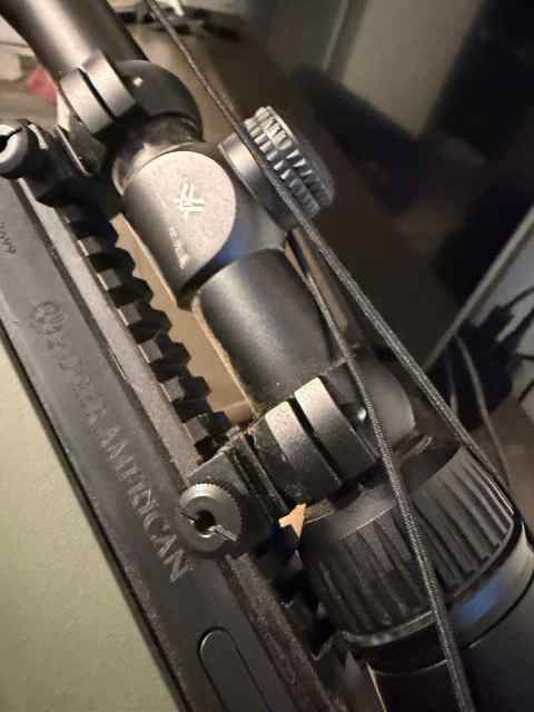 Ruger american