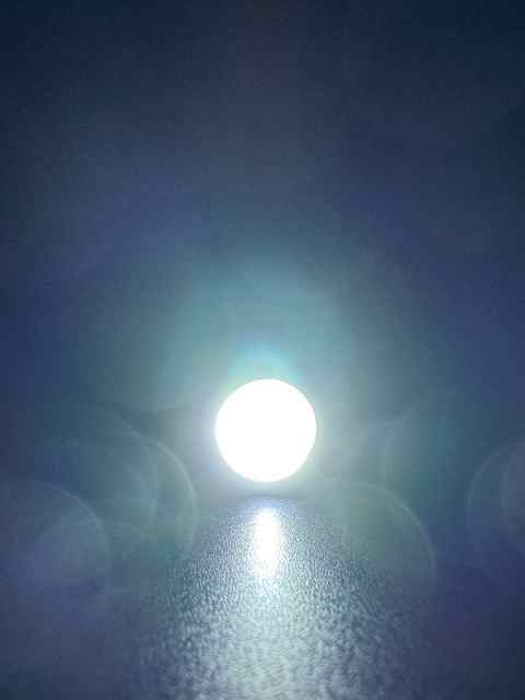 IMG_6148.jpeg