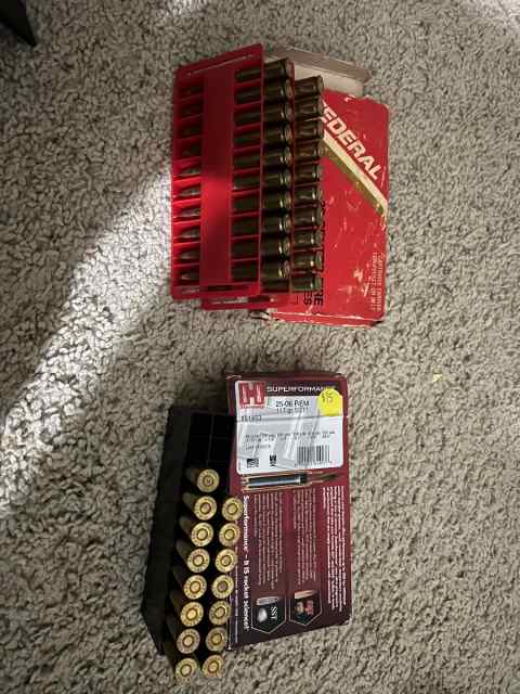 25-06 ammo