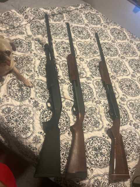 Looking for a clay sport 20 or 28 gauge. 
